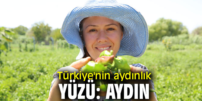 Aydın'da örnek projeler