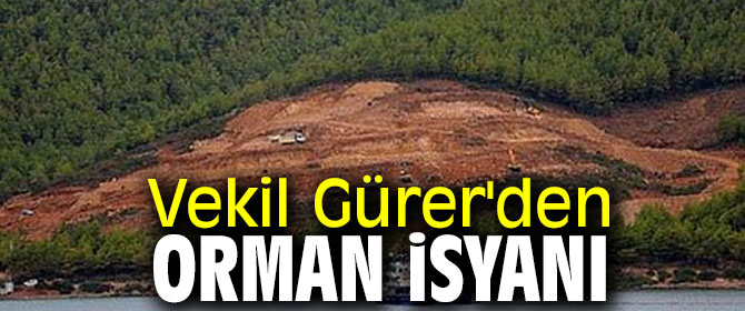 Vekil Gürer'den orman isyanı!