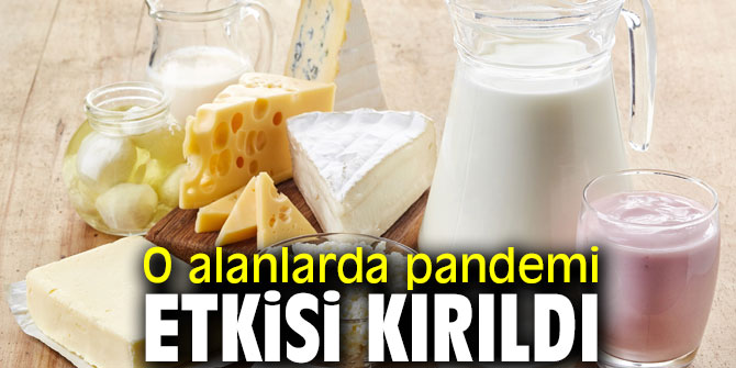 O alanlarda pandemi etkisi kırıldı
