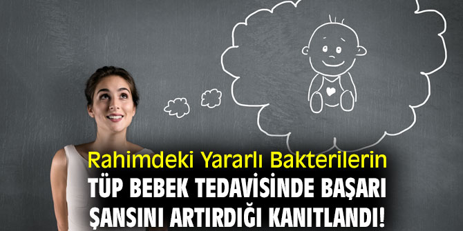 Tüp Bebek Tedavisinde Yeni Başarı!