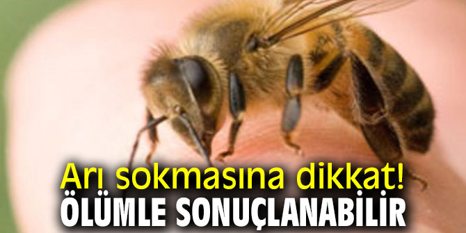 Arı sokmasına dikkat! Ölümle sonuçlanabilir