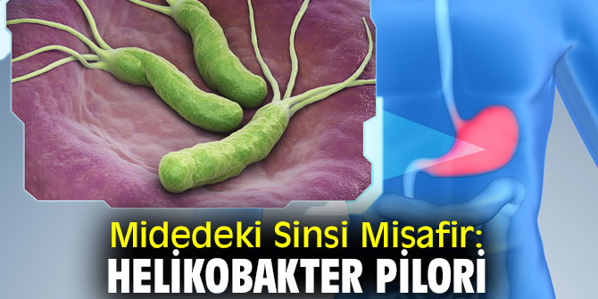 Helikobakter Pilori'ye dikkat!
