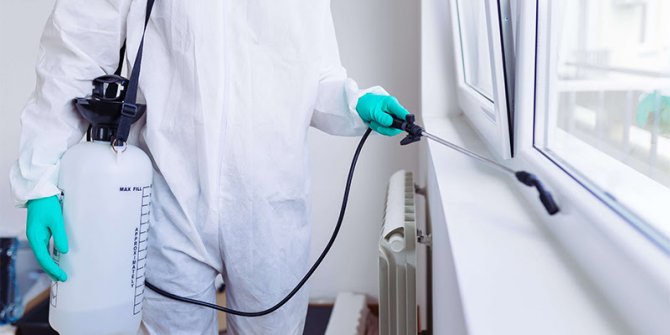 İnternette en fazla temizlik hizmeti aradık!