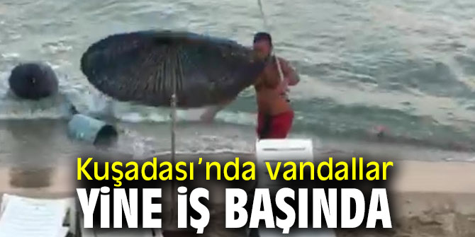 Kuşadası’nda vandallar yine iş başında