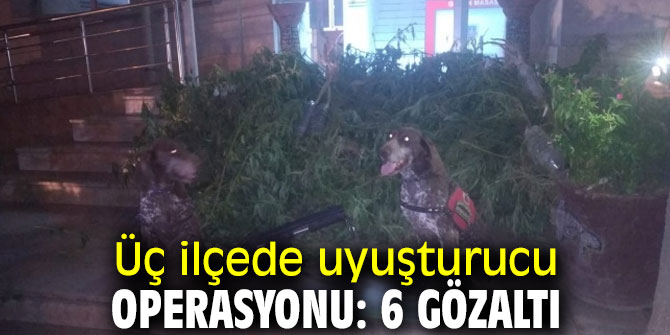 İzmir'de uyuşturucu operasyonunda 6 gözaltı