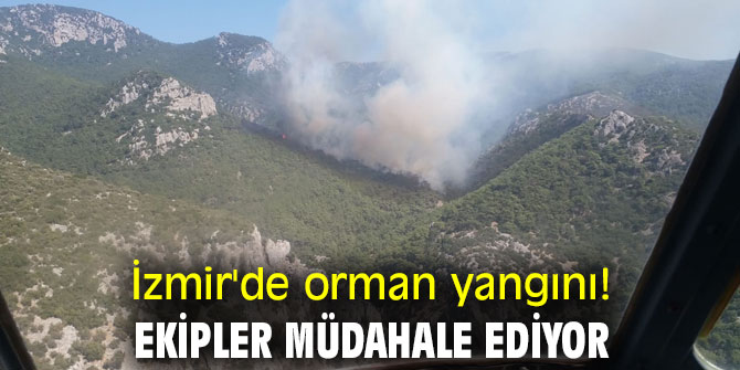 İzmir'de orman yangını