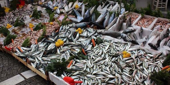 Balık sezonu açıldı!