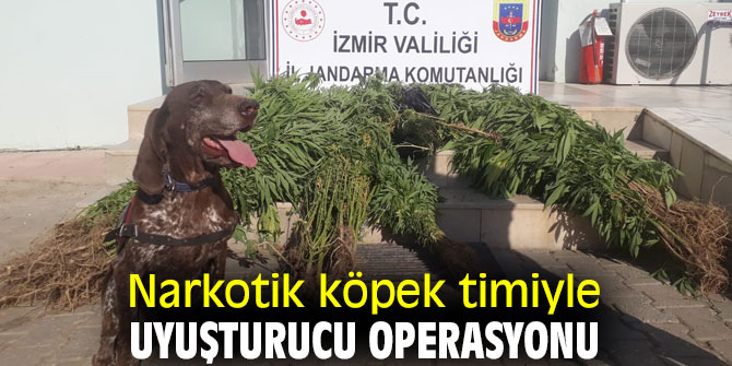 İzmir'de Narkotik köpek timiyle uyuşturucu operasyonu yapıldı!