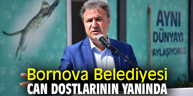 Bornova, pandemide de can dostlarına kucak açıyor 