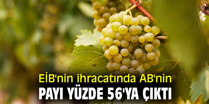 Ege İhracatçı Birlikleri'nin ihracatında AB'nin payı yüzde 56'ya çıktı