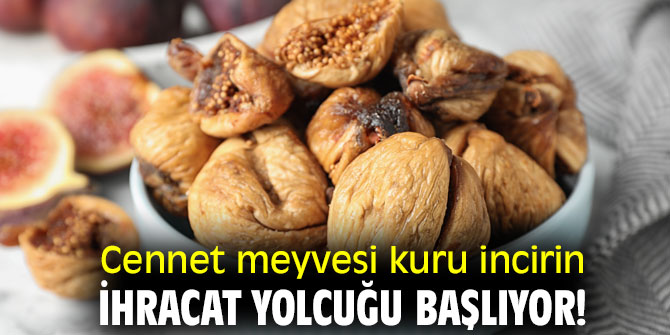 Cennet meyvesi kuru incirin ihracat yolcuğu başlıyor!