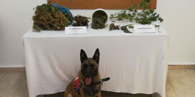 Uyuşturucu operasyonunda 1 tutuklama!