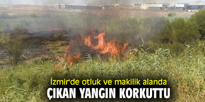 İzmir'de otluk ve makilik alanda çıkan yangın korkuttu