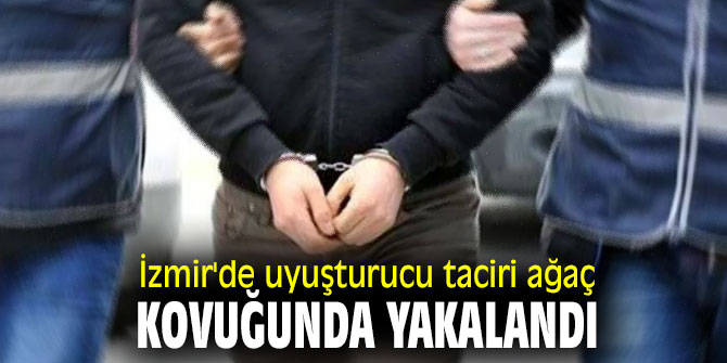 İzmir'de uyuşturucu taciri ağaç kovuğunda yakalandı