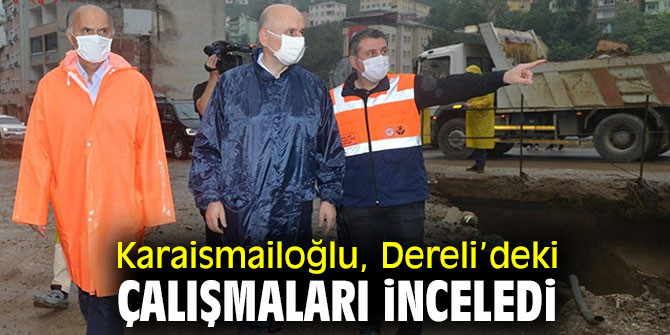 Karaismailoğlu, Dereli'deki çalışmaları inceledi