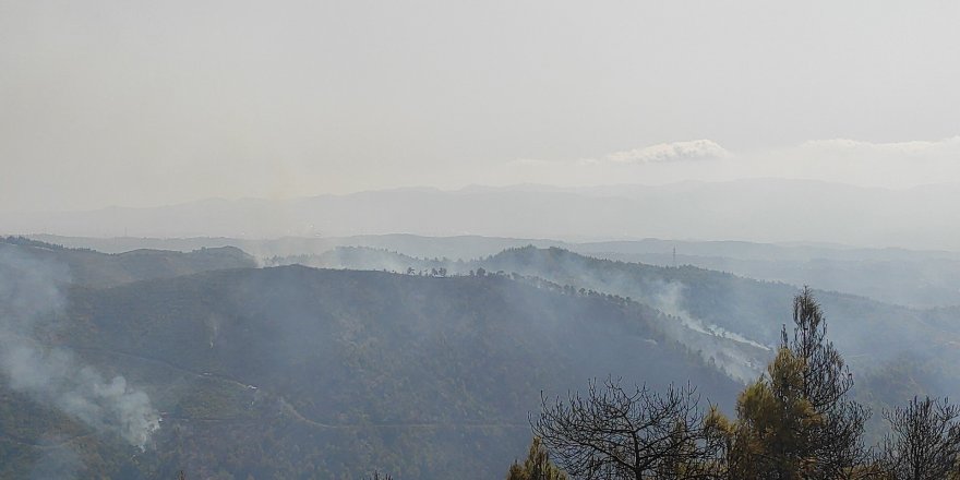 Orman yangını kontrol altına alındı