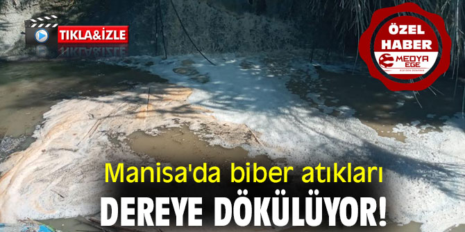 Manisa'da biber atıkları dereye dökülüyor!
