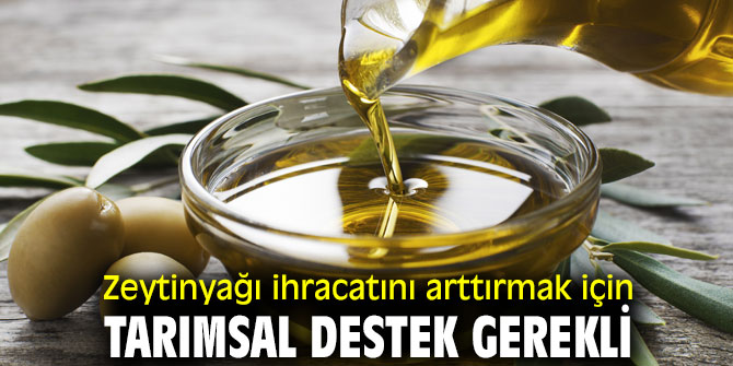 Zeytinyağı ihracatını arttırmak için tarımsal destek gerekli