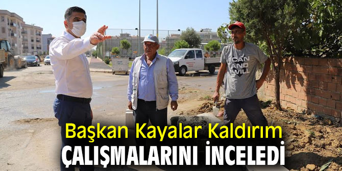 Başkan Kayalar, Çalışmaları İnceledi
