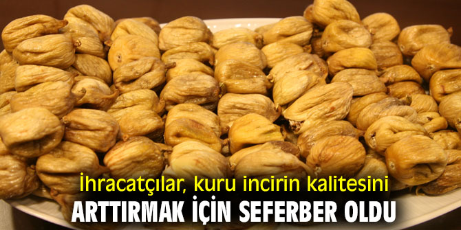  Kuru incir kerevetlerde kurutulacak