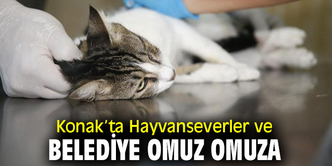 Konak’ta Hayvanseverler ve belediye omuz omuza