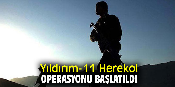 Yıldırım-11 Herekol Operasyonu başlatıldı