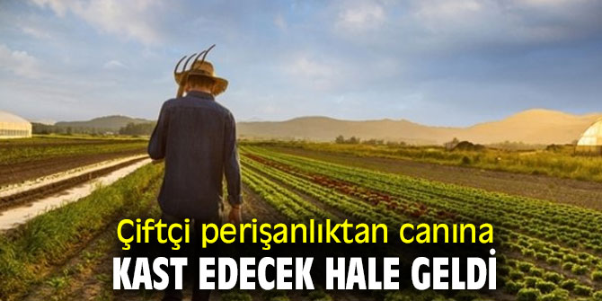 Çiftçi perişanlıktan canına kast edecek hale geldi