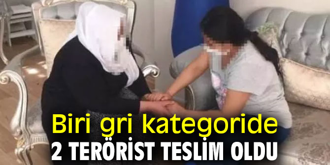 Biri gri kategoride 2 terörist teslim oldu