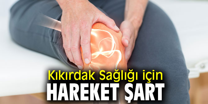 Uzmanı uyardı! Kıkırdak Sağlığı için Hareket Şart
