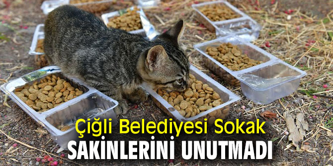 Çiğli Belediyesi'nden Sokak hayvanlarına destek!