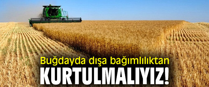 Buğdayda dışa bağımlılıktan kurtulmalıyız!