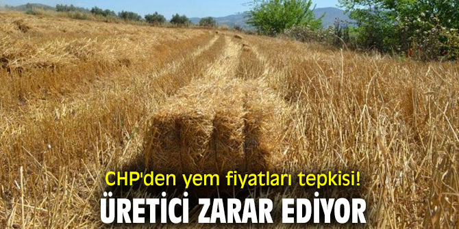 CHP'den yem fiyatları tepkisi! Üretici zarar ediyor