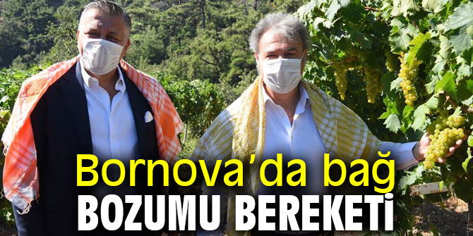 Bornova’da bağ bozumu bereketi