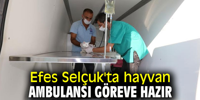 Efes Selçuk'ta hayvan ambulansı göreve hazır
