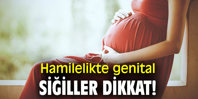 Uzmanı uyardı! Hamilelikte genital siğiller dikkat!