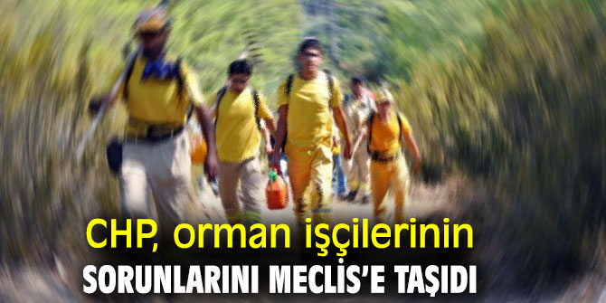CHP, orman işçilerinin sorunlarını Meclis’e taşıdı