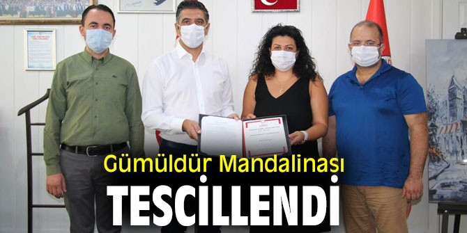 Gümüldür Mandalinası Tescillendi