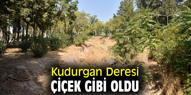 Kudurgan Deresi çiçek gibi oldu