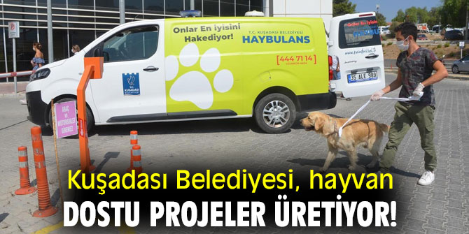 Kuşadası Belediyesi, hayvan dostu projeler üretiyor!