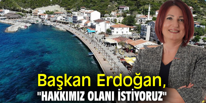 Başkan Erdoğan, "Hakkımız olanı istiyoruz"