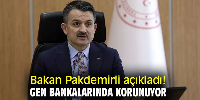 Bakan Pakdemirli açıkladı! Gen Bankalarında korunuyor