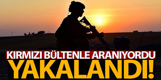 El Kaide bağlantılı terörist yakalandı