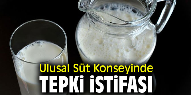 Gürer: “Enflasyon artışında, süt üreticisi günah keçisi mi?”