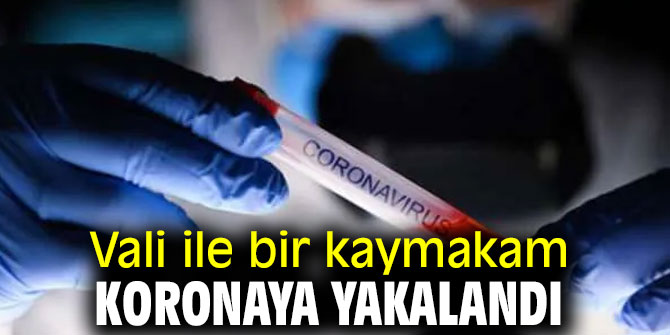 Vali ile kaymakamın testi pozitif!