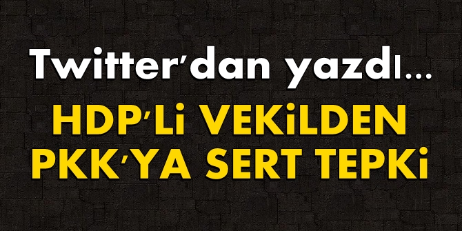 HDP'li vekilden PKK'ya sert tepki!