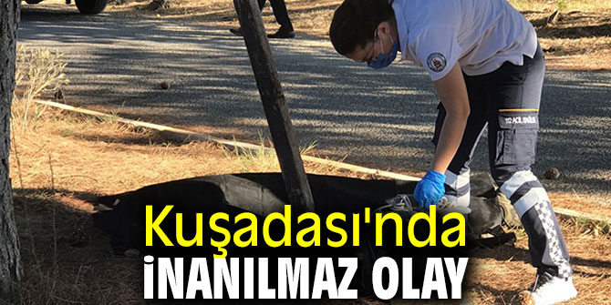 Kuşadası'nda inanılmaz ölüm!