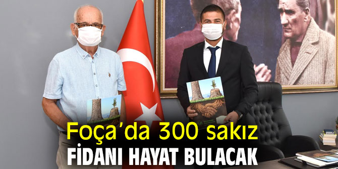 Foça’da 300 sakız fidanı hayat bulacak