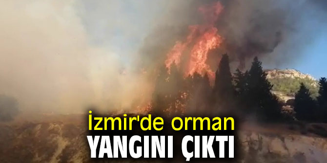 İzmir'de orman yangını çıktı