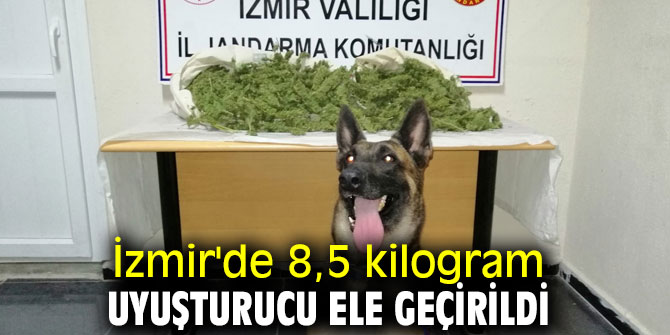 Ödemiş ve Tire'de 8,5 kilogram uyuşturucu ele geçirildi