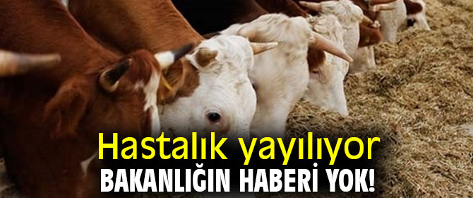 Gürer uyardı!  “Tarım Bakanlığı, tehlikenin büyüklüğünün farkında bile değil”